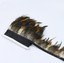 Wholesale 5 Meter Orange Feathers Trimming Fringe Rooster Feathers Ribbon For DI - Foto 13