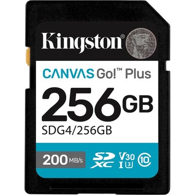 Kingston Canvas Go! Plus 256GB SDXC, Speicherkarte, schwarz