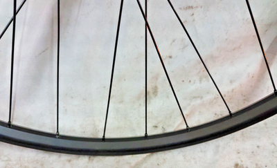 Bontrager Connection/Rigida ZAC 79 29