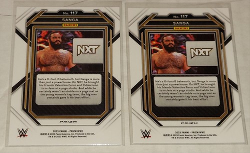 LOTE (2) 2023 PRIZM WWE SANGA PLATA E HIPERPRISMA TARJETA #117 - Imagen 2 de 2