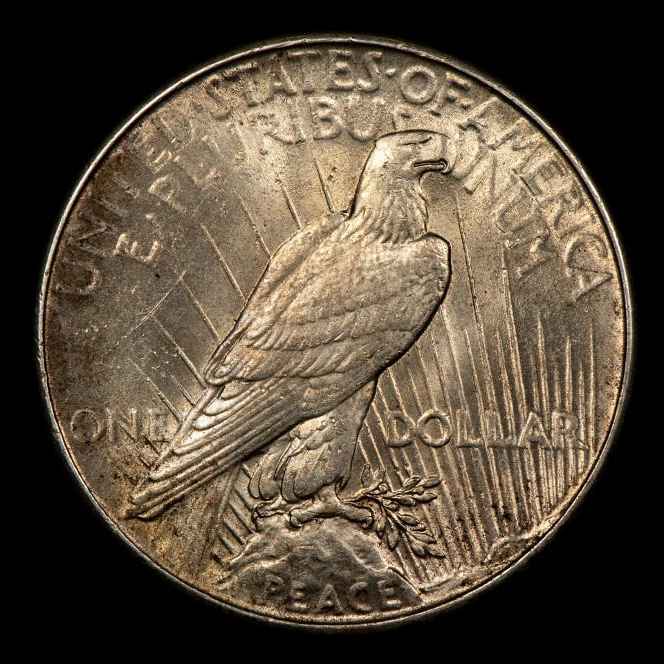 1934 $1 Silver Peace Dollar - BU Key Date - VIDEO - SKU-B4492 - Image 4 of 4