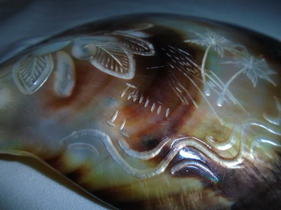 Таитянская винтажная резная перламутровая раковина таитянские пальмы гардения 5 1/5 дюйма - Изображение 3 из 4