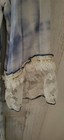 Bild 3 von 15