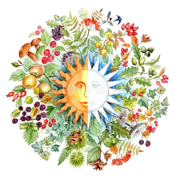 Autumn Equinox Greeting Card - By S Symonds - Sale For Our Animal Charity