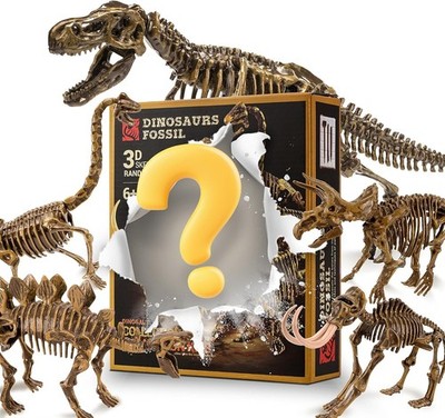 Dino Fossil 5er Set: Archäologische Ausgrabung, Operative Fähigkeiten entwickeln