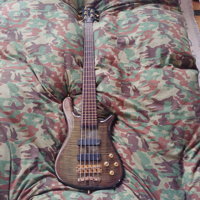 Warwick Streamer Stage 1 Flame Top 5 String Electric Bass Guitar