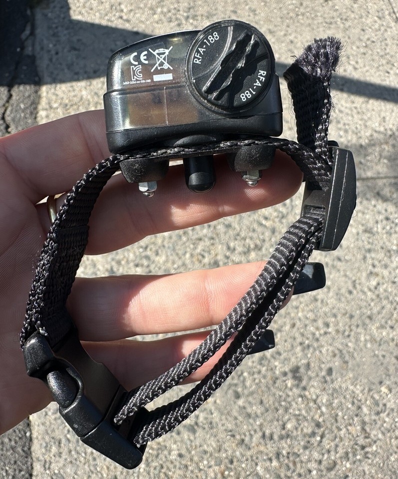 Petsafe Elite Little Dog Bark Collar eBay