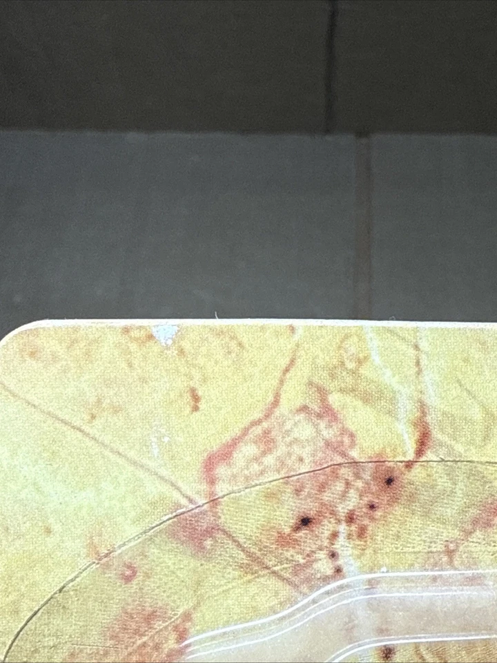 Lote De 2 Buffy the Vampire Slayer “Giles” Elegido & Demon Diamond Select Nuevo 2006 Foto 4 de 4