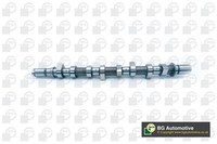 Nockenwelle BGA CS6300 FüR Renault Modus Clio 3 BR0 CR0 Kangoo FC0 Megane 2 BM0
