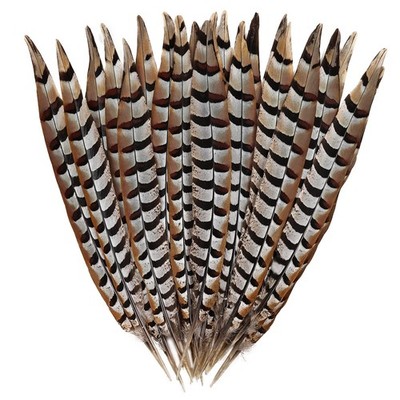 5pcs Pheasant Feather 14-16inch 35-40cm Natural Reeves Pheasant Tails Feather...