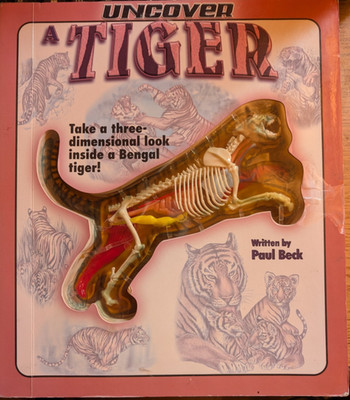 Uncover A Tiger Anatomy of A Tiger Book Homeschool Resource