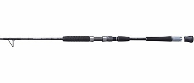 Shimano Type J 5'6'' Heavy Moderate Fast Spinning Rod GTJS56HA