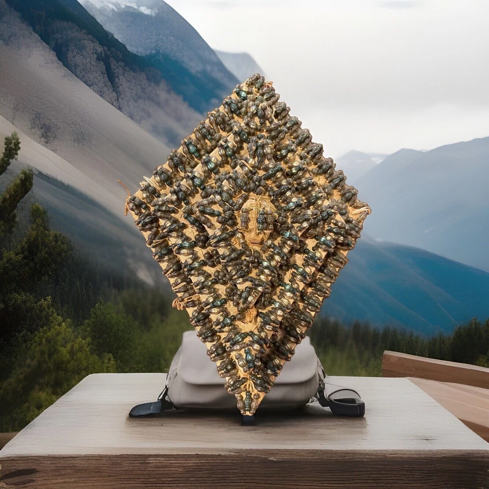 "Antiguo diamante con cuentas a mano nativo americano de 7,5"" de unos 100 años raro" Foto 3 de 4