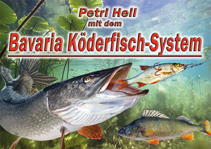 Bild 12 von 12