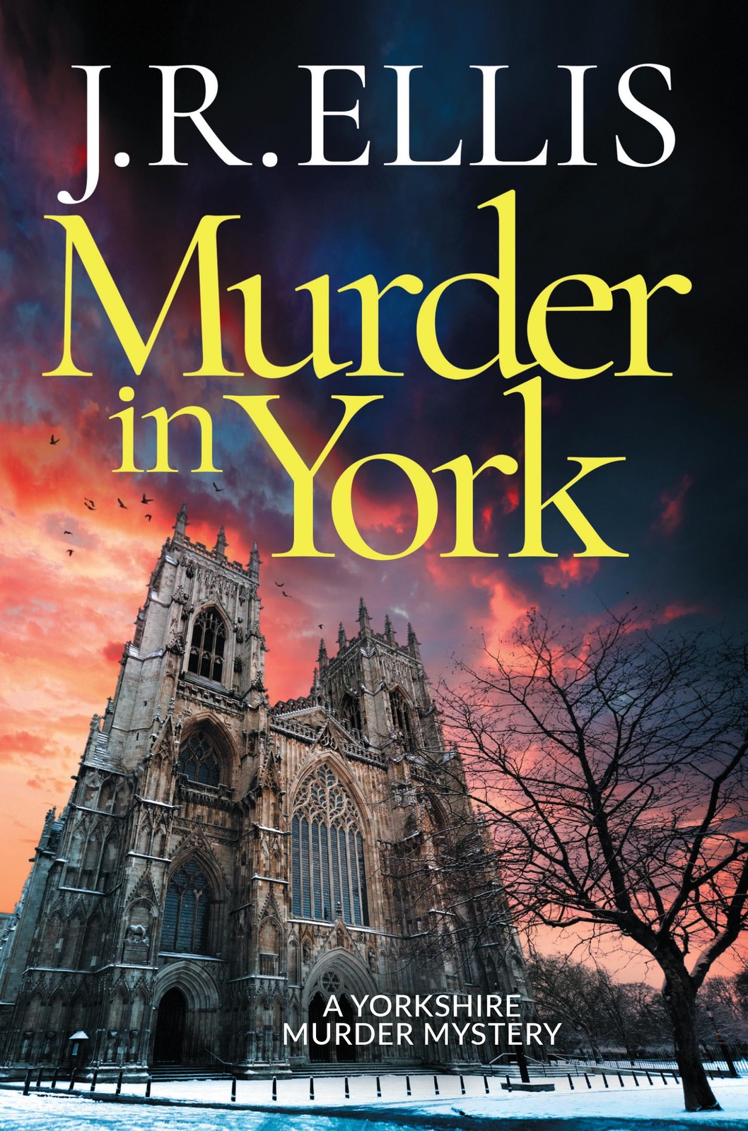 Murder in York: 12 (A Yorkshire Murder Mystery),Ellis, J. R. J.