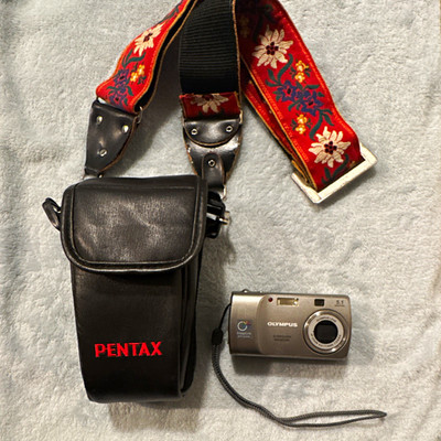 Olympus CAMEDIA D-555 ZOOM 5.1MP Silver Compact 3x Zoom 1.8in AA USB Pentax Case