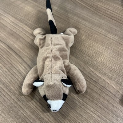 Ty Beanie Baby  Ringo  the Racoon - 2nd Gen Tush Tag, No Hang Tag! (6 inch)