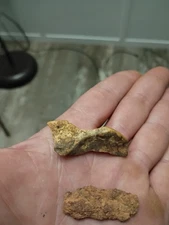 Lancolite point with binding hide still on it 