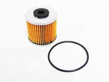 OEM Simplicity Lawn Mower Filter Kit 5104385X1YP  READ LISTING