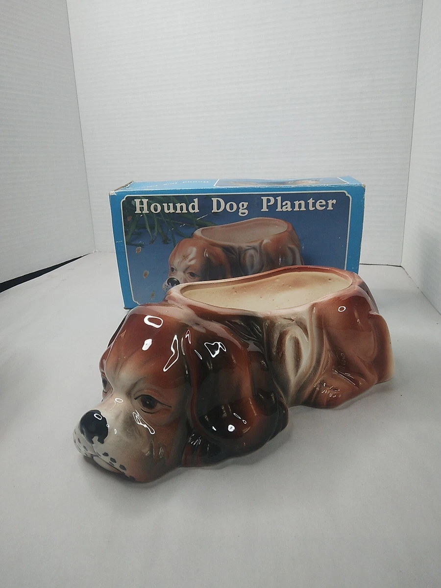 Box hotsell hound dog