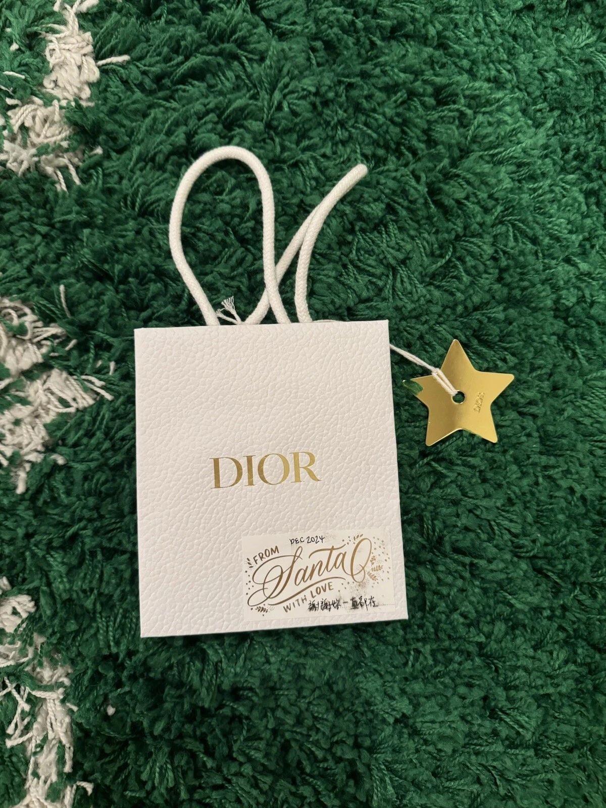 Mini sac shopping papier Dior neuf