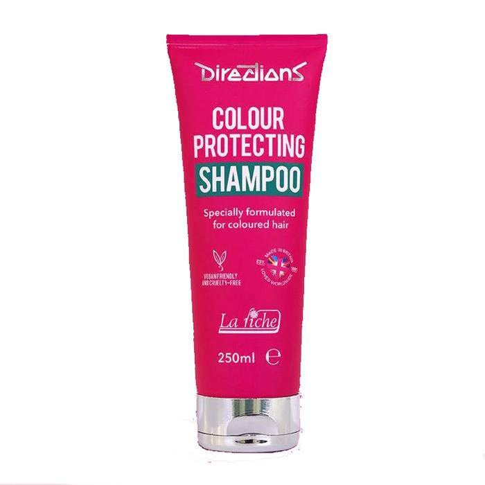 La RichÃ© Directions Farbschutz / Colour Protecting Shampoo 250 ml ...