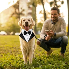 Formal Pet Wedding Suit Gentleman Scarf Bow Tie Collar Dog Triangle Towel