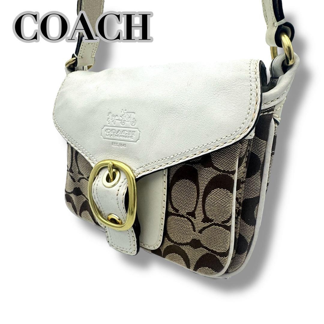 Coach Signature Canvas Shoulder Bag in White Leather Pochette Style #PCIP89