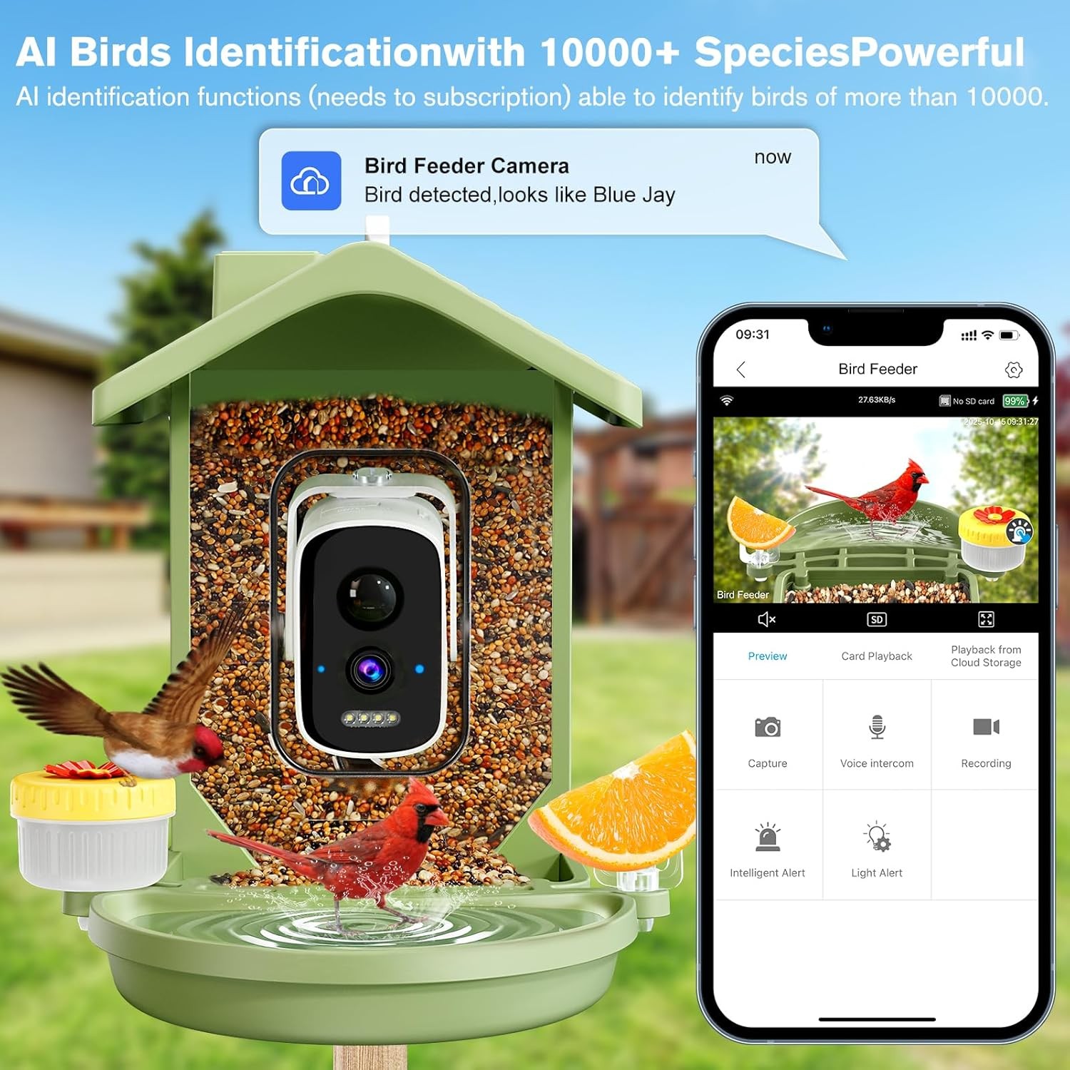 Smart Bird Feeder with Camera Solar Powered, AI Birds Species Identification, 2.