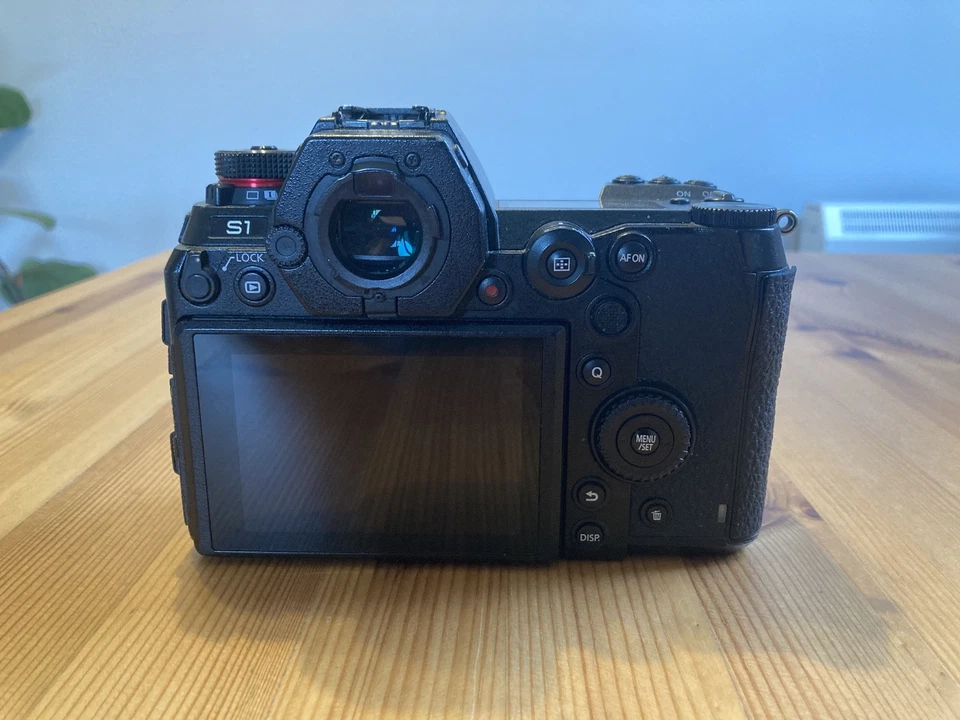 Panasonic Lumix S1, photo 4 of 5