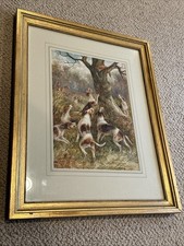 Arthur A. Davis Fox Hunt Scene Original 1907 Watercolor  “Out Of Reach” British
