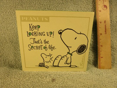 Peanuts Gang Snoopy Hallmark Keep Looking Up That S The Secret Of Life Ebay Peanuts Gang Snoopy Hallmark Keep Looking Up That S The Secret Of Life Ebay