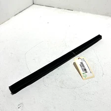 Rear Left Door Window Belt Weatherstrip Seal Acura TLX 2021-2023 OEM