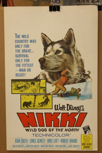 Nikki 1961 Walt Disney Original Movie Poster 22" x 14" Jean Coutu