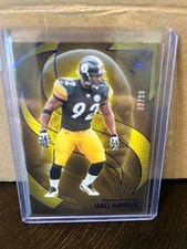 2025 Nfl Panini Silhouette James Harrison Pittsburgh Steelers Color Match /99