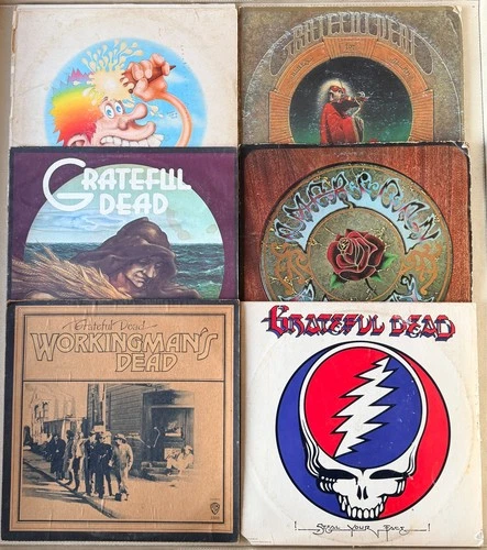 DAMAGED POOR CONDITION Grateful Dead Vinyl LP Record Lot Europe, Steal Your Face