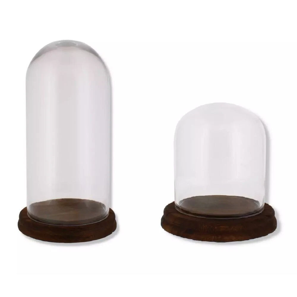 Glass Display Dome Bell Jar Cloche Wooden Base Figure Action Gift Table Decor
Opens in a new window 
