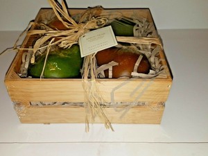 Pottery Barn Anjou Pear Scented Candles Bougies Parfumees Set Of 4