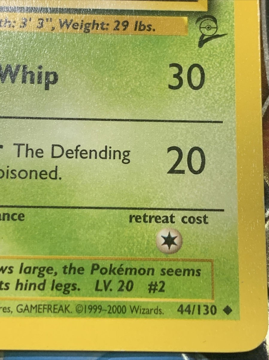 IVY&HEAVYDUTY'sSTORE　山ポケ　ヴィンテージ s-l500.jpg