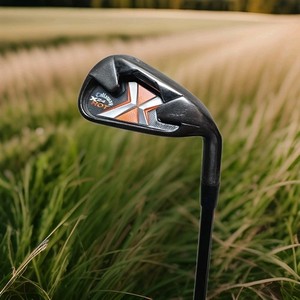 X24 Hot Irons | eBay