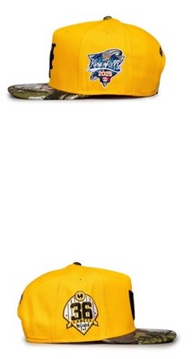 Twnty-Two Wu-Tang Wu Tang Real Tree Wu York Very Rare Hat Cap