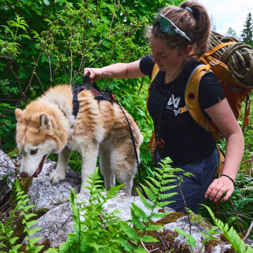 Non-stop dogwear ROCK HARNESS Long |130| Trekking, guía y arneses cotidianos - Imagen 6 de 9