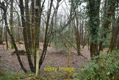 Photo 6x4 Foxhole Wood Etchingham  c2021