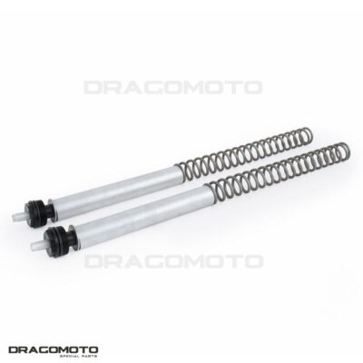 HONDA PCX 150 2018-2020 kit springs OHLINS FSK 136 | eBay