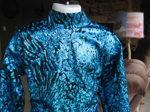 Chemise western, plaisance, équitation, ligne principale, moulant