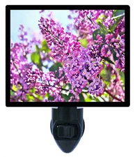 Garden Decorative Photo Night Light, Lilac, Spring