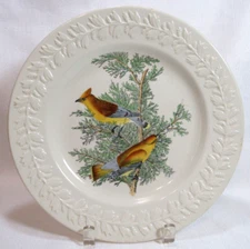 Adams England THE BIRDS OF AMERICA Audubon CEDAR WAXWING 1 Dinner Plate GC