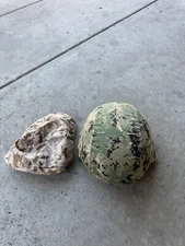 Gentex USGI Ballistic Advanced Combat Helmet Medium w/ AOR1 & AOR2 Covers