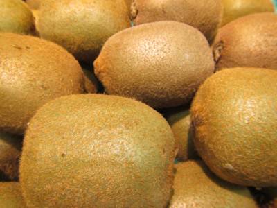 2er Kiwi-Paket 'Grün + Männlich' - Kiwi - Pflanze 30-50cm Winterhart Actinidia