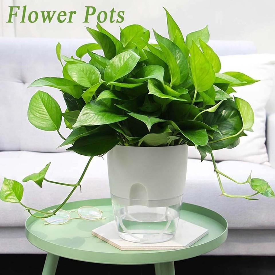 1pcs Plastic Flower Plant Garden Indoor Outdoor Double Layer Auto